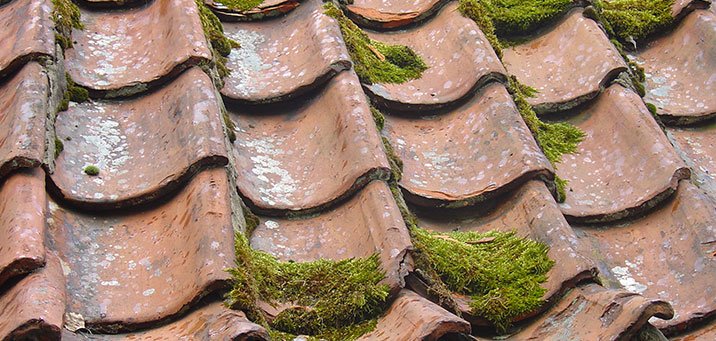 Lire la suite à propos de l’article Traitements de toitures professionnels : Protéger votre maison à Villefranche-sur-Saône